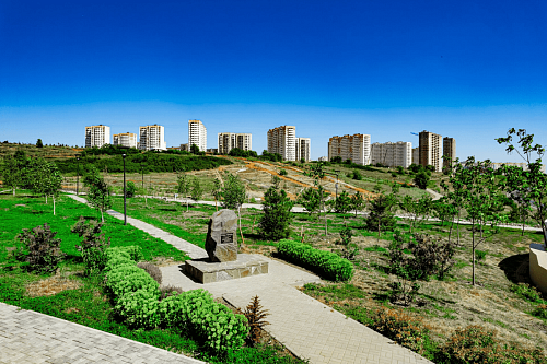 Фотографии